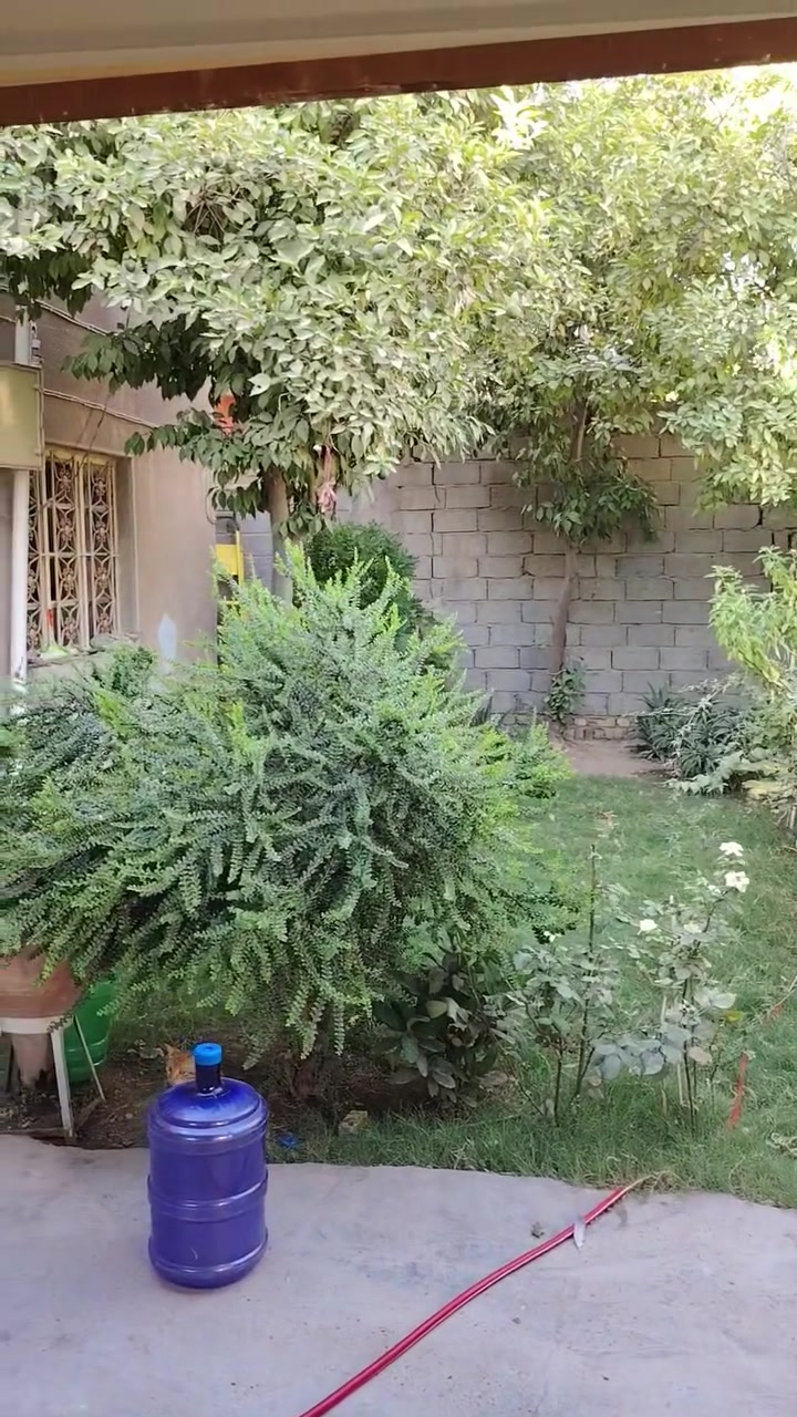 بيت للبيع طابو صرف مساحه 268
لمحاويل حي الجمهوري على شارعين
قرب شارع الأطباء ***********
 ***********
