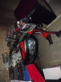 ستوته • موديل 21 • بدون محجل