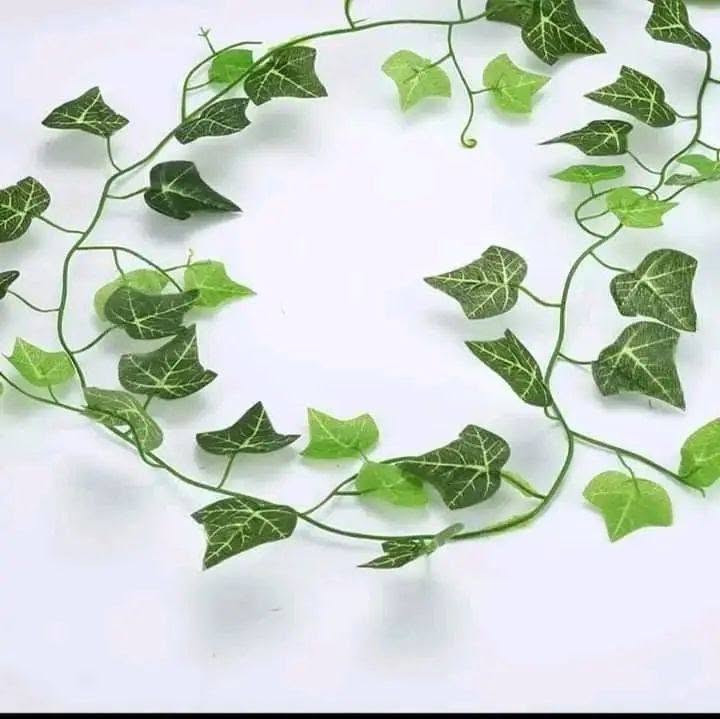 شريط  خضار البلاب  مختلف  الطبعات  والأشكال  طول  الشريط  مترين  و 20 سم 
 

الشريط بالف دينار فقط


**إذا كنت صاحب هذا الإعلان وتريد حذفه لأي سبب، رجاءا أرسل رسالة إلى الدعم الفني**