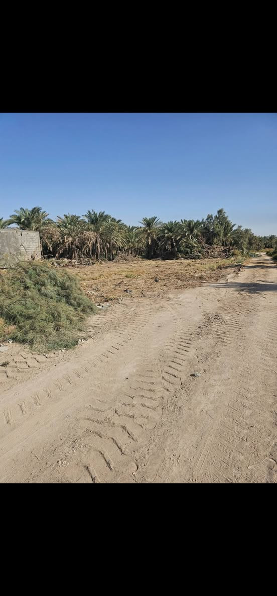 سلام عليكم قطع ارض لبيع طابو زراعي 25طابو باسمي وكاله باسم المشتري ونسخه من الطابو انطي المكان الزوين شارع المعمل متوفر جميع الخدمات ما كهربه مدارس اسواق افران مركز صحي جميع الخدمات قريبه ***********

