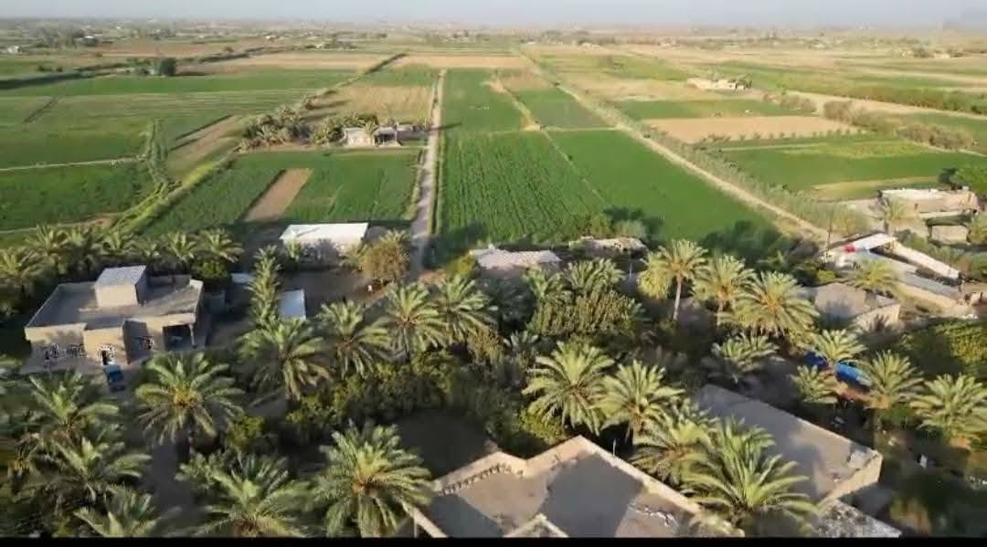 🌿 للبيع أرض زراعية طابو – فرصة استثمارية مميزة 🌿
📍 الموقع: محافظة بغداد – قضاء المحمودية – ناحية اليوسفية – مقاطعة (15).

✅ المساحة: 60 دونمًا طابو.
✅ مناسبة للزراعة ولمشاريع تربية الأغنام والأبقار والدواجن وغيرها.
✅ مياه متوفرة على مدار 24 ساعة مع إسالة ماء صالحة للشرب.
✅ طريق معبد يصل إلى داخل الأرض.
✅ تبعد 300 متر عن مدرسة ابتدائية، وحوالي 3 كيلومترات عن مدرسة متوسطة وإعدادية.
✅ مسجد قريب، ومنطقة هادئة تتوفر فيها الخدمات وجيران طيبون.

📞 للاستفسار والمعاينة:
*********** واتساب 

الرجاء مشاركة الإعلان، فربما يصل إلى من يبحث عن هذه الفرصة الاستثمارية.
