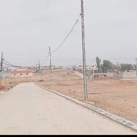 جمعيه زراعه الملحق • ١٢٠م • وجه ٧م