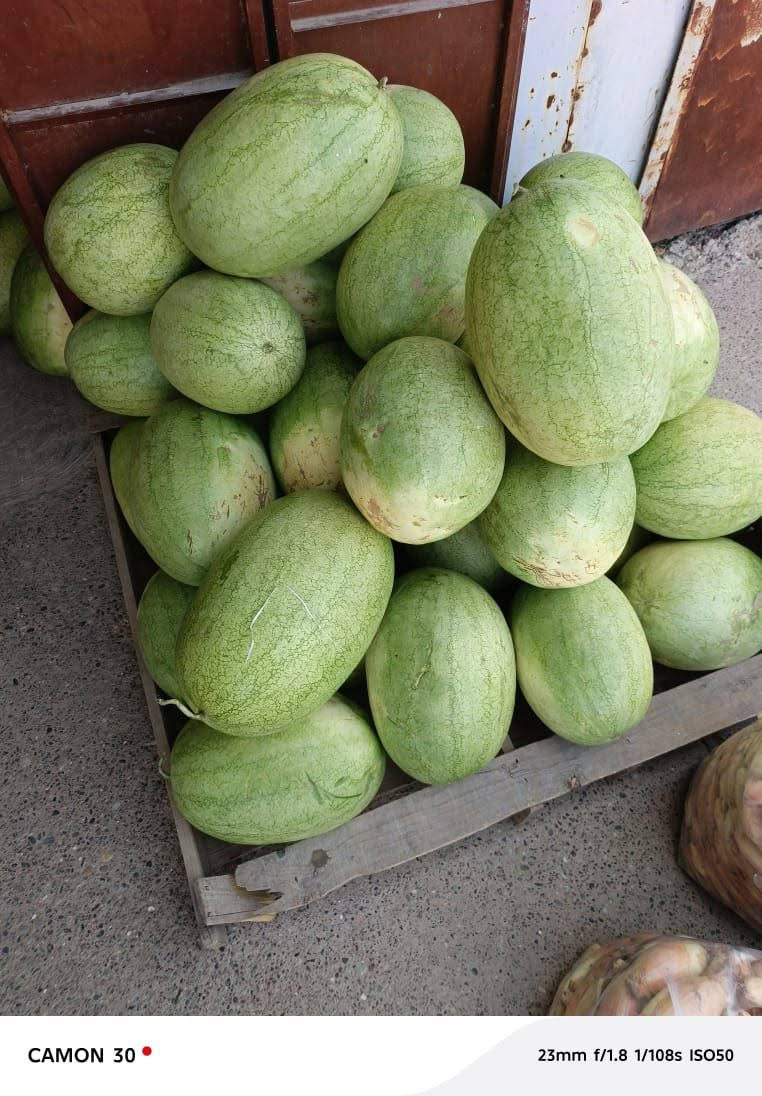مسواك اليوم 
طماطة 500
خيار 500
اسود 500
بطاطة 500
شجر 500
بصل أصفر 500
ركي شرط 500
موز 1500
عنب 1500
برتقال 1250
تفاح 1250
***********
