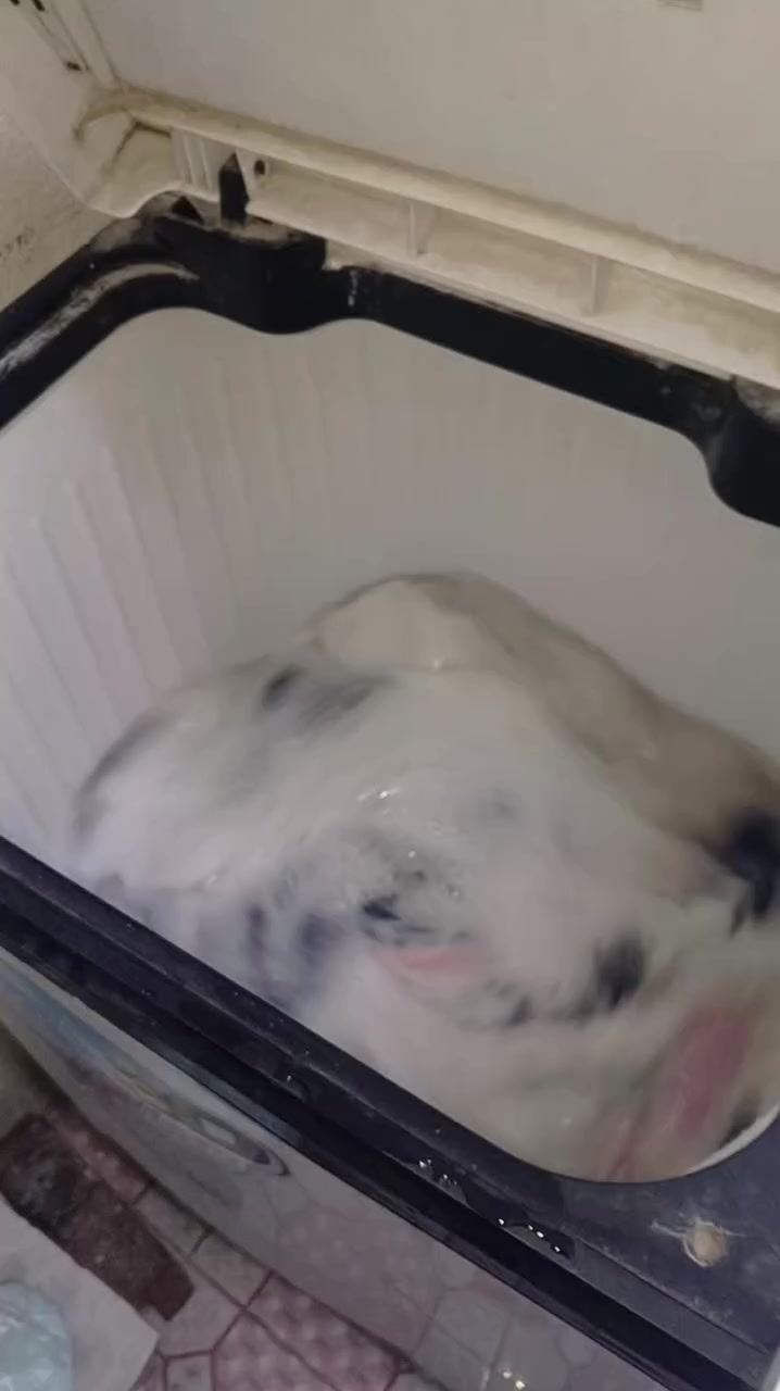 نضيفه سعرهه 100
***********
