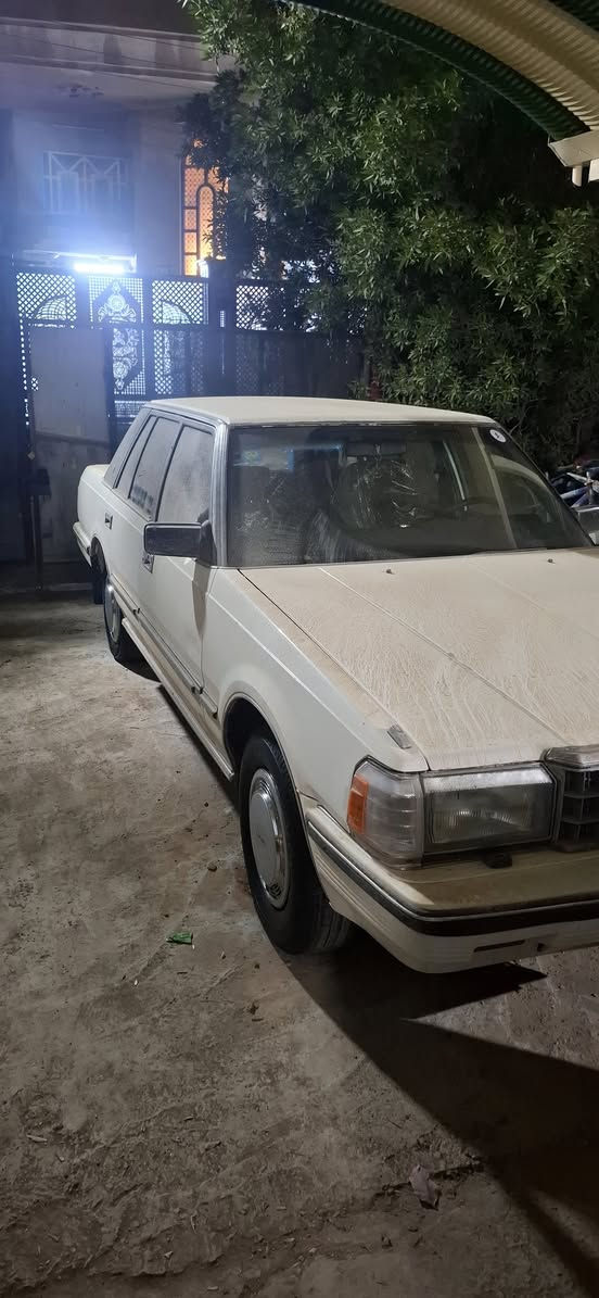 سوبرموديل٨٤
٨٥ مكفولات ***********على وضع الشركة بغدادفلكة حي النصر
