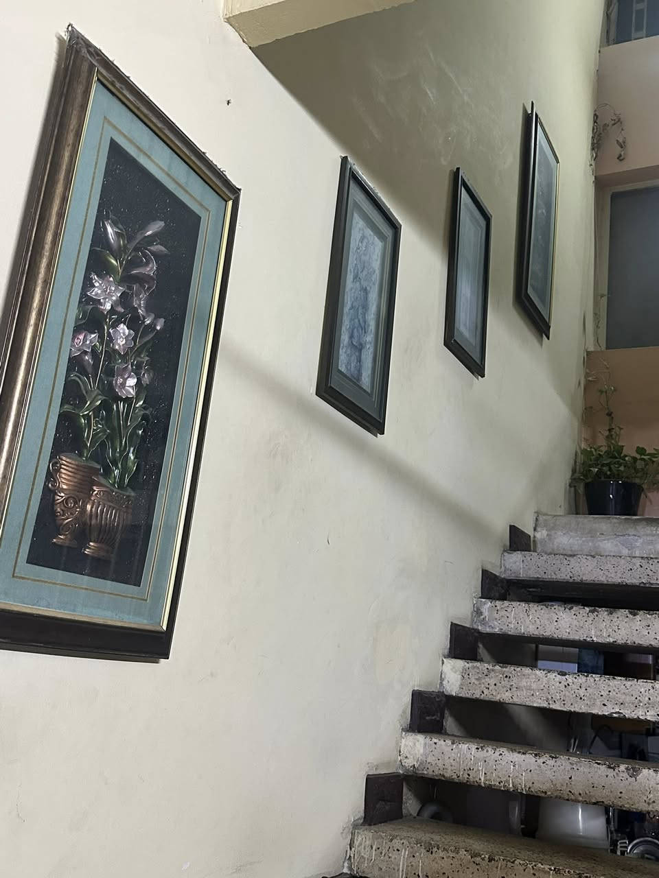 السلام عليكم اغراض بيت كامل للبيع بنكات عدد 5 للبيع وبوفية صاج درجه اولى
كاونتر سنك المنيوم مع ملحق 
طاولة طعام خشب صاج اصلي 
قنفات 
صور ديكور عظم عاج 
ثريات عدد ثنين دواره والثالثه صغيره وياهم ثريات تعليك بالحايط 
مولده بيت 20 امبير 
غرفة نوم خشب صاج اصلي 
غرفة نوم جربايه وكنتور مال نفر واحد ماليزي بس نظيفات 
كنتور 3 باب وملحق 3 باب صاااج اصلي تكمة 
تلفزيون القيثاره الانتيكه القديم وياه تلفزيون ثاني هدية ملون شغالات 100‎%‎ 
شاشة ماركة lg  
راديو قديم انتيكة مع ميز صاج اصلي 
ميز مكتبي صاج اصلي درجه اولى 
مكان بغداد حي الخضراء 
واذا احد يريد ياخذ شلعه كامله هم غير سعر 
للتواصل الاتصال على الرقم فقط غير متواجد ماسنجر 
***********
