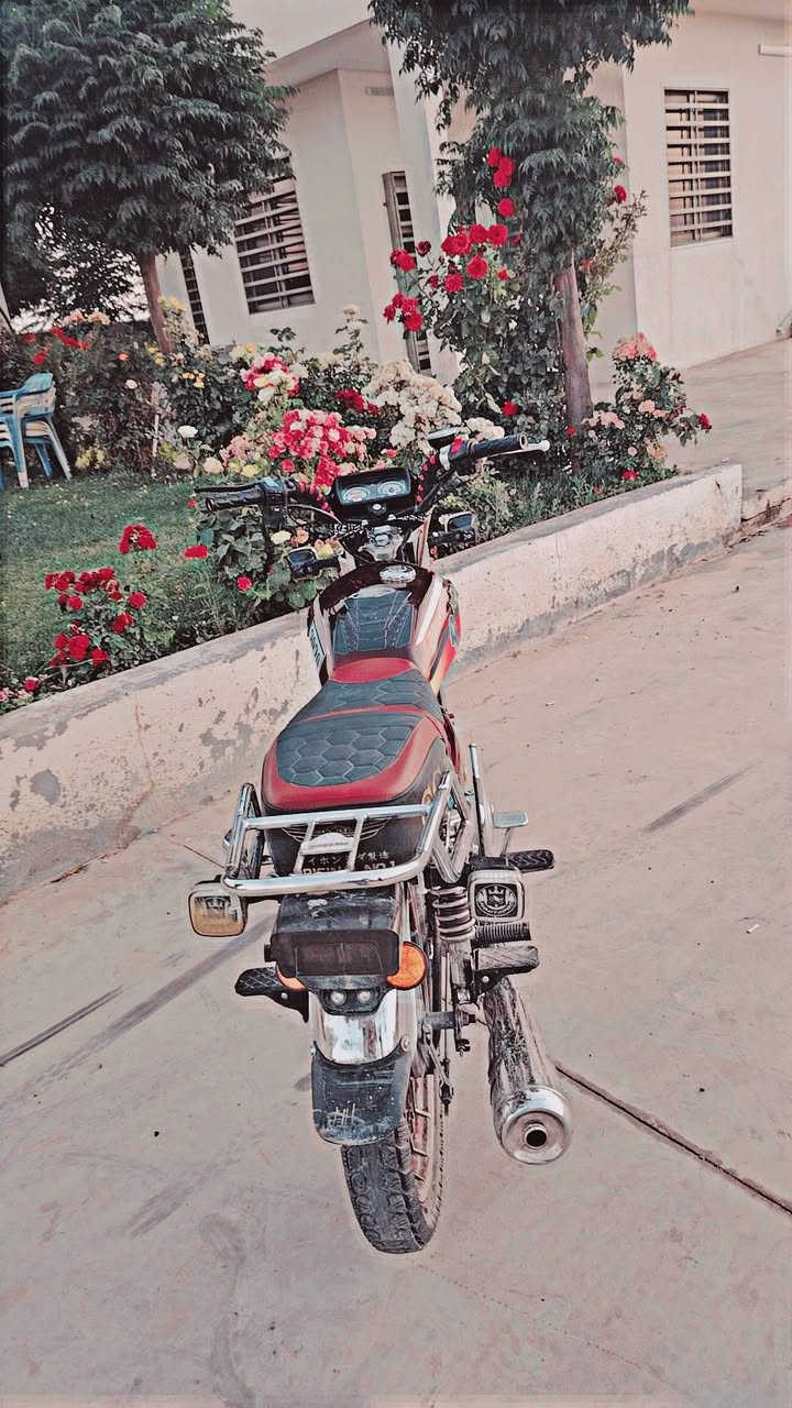 ماطور نامي برو موديل 2020محرك196منافيس اصلي
سعر650وابي مجال عنوان باحركه


**إذا كنت صاحب هذا الإعلان وتريد حذفه لأي سبب، رجاءا أرسل رسالة إلى الدعم الفني**