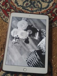 150.       07748915728 بغداد