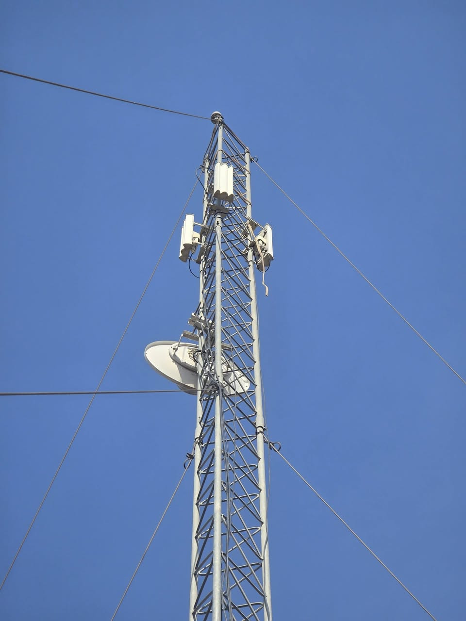 تم تفصيخ ونصب ١٨ م كربلاء.
***********
علاء
