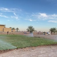 07832589631/07781992324