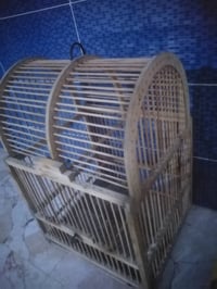 قفصين • صغير وكبير • مجال قليل