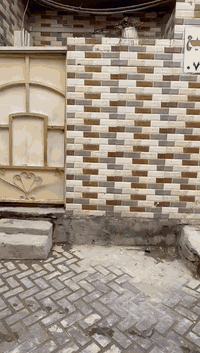 نصف قطعه قاطين قطاع ٢٧

***********
