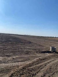 ابو غريب الحمدانية الثانية • ٨ دونم • سند ٢٥