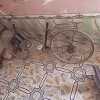 بايسكل • حجم 26 • عافية