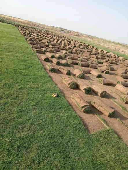 ثيل الطبيعي
للحجز والاستفسار الاتصال على الارقام 

*********** 

 تجهيز كافة المشاريع  والمساحات الخضراء

توصيل كافت محافظات
