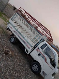 محجل بعيره للبيع ويرهم مراوس بمحجل 2700 للاستفسار 07705268728