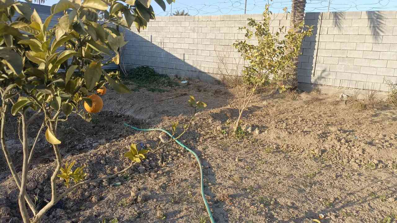 بسم الله وعلى بركة الله
أرض للبيع الرمادي الصوفية البوغانم  منطقة سكنية خدمات كاملة 
مساحة 900م 
30×30 م
عرض الشارع 5 متر قريبة من شارع الرئيسي سايدين الحولي 
قرب جامع العزيز الجبار 

 الأرض طابو زراعي سند 25 ورثة شرعيين 
البيع يكون تعهد عشائري + مكاتبة مع ضمان التعهد بالتحويل مستقبلاً 
ممكن بيع نصف المساحة 
الأرض مسيجة بالكامل ومزروعة أشجار 

 لطلب السعر أترك تعليق ✒️
       
 يرجى التواصل  
‎***********
.
#عقارات_الانبار #قطع_اراضي #بيع_وشراء_الاراضي #الانبار #الرمادي #مكاتب_العقار
