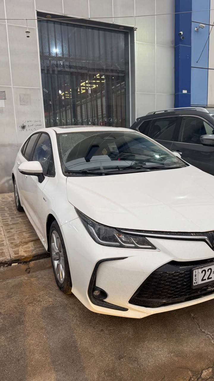 هیچی نییە تەنها دوو شوێن PDRی بچووک.

0750 604 6030 أربيل, العراق
