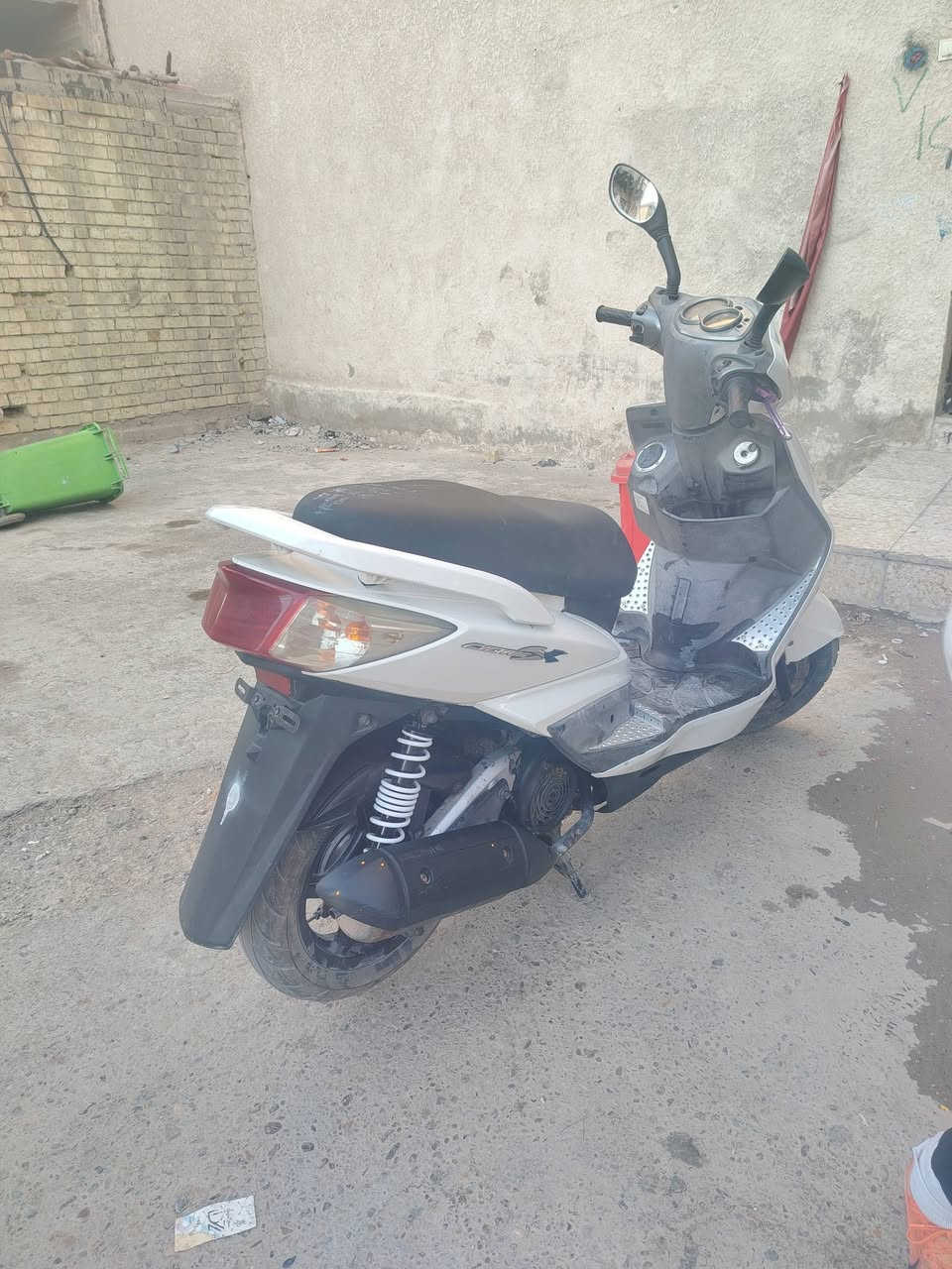 سلام عليكم سكنس فحل للبيع قبل فترا اخذتها رمبه ختم واحد كفر ومكينة مكان بغداد  ***********
