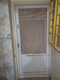 بيبان تور • ضد الذباب • عدد ٣