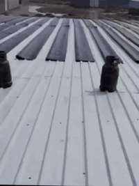 اتصل وادلل        07710064806 واتساب أو اتصال07877839153 الاسعار 5000ا...