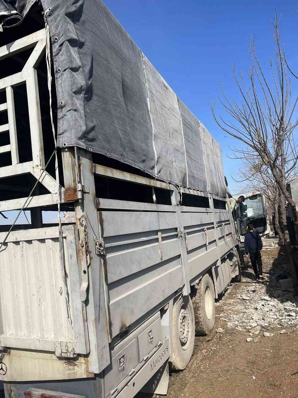 بدي حمداني طول 7.25ارتفاع 3 سعر15ورقة مكان سليمانية ***********@إشارة#@
