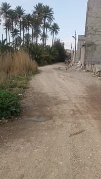 نزلت شيخ بدر • طابو زراعي • ١٠٠م