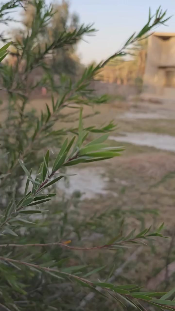 السلام عليكم .
اللهم صل على محمد وآل محمد. 
(دونم وربع ) طابو زراعي سند ٢٥ .
مع دار حديث. 
(تحويل اسهم ).
العنوان :كربلاءالمقدسة / قضاء الحسينية/منطقة ابوتمر قرب سوق العطيشي.
للاستفسار اكثر الاتصال على الأرقام(***********و *********** )
للمزيد من العروض تابع الصفحة .#اشاره
