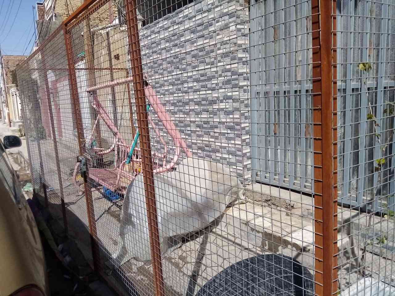 سياج9م ومرجوحه للبيع


**إذا كنت صاحب هذا الإعلان وتريد حذفه لأي سبب، رجاءا أرسل رسالة إلى الدعم الفني**