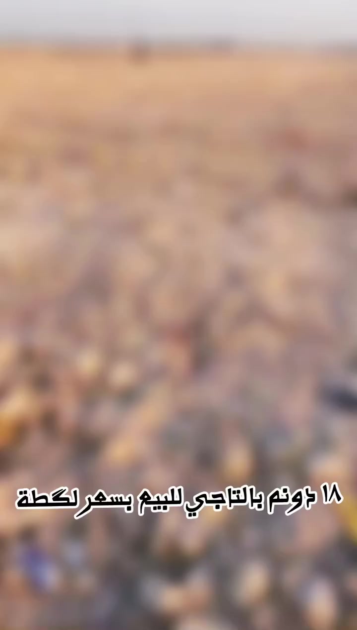 📢 فرصة استثمارية مميزة للبيع – أرض في التاجي  

🔹 الموقع: التاجي  
🔹 المساحة: 18 دونم كاملة  
🔹 نوع الأرض: (زراعي سند محكمة)  
🔹 الملكية: (طابو زراعي سند محكمة )  

✨ موقع استراتيجي مناسب للاستثمار  
✨ قريب من الشارع العام والخدمات  
✨ مناسب لمشاريع (مخازن، معامل، استثمار زراعي، تقسيم قطع)  

💰 السعر: ( عالخاص لطفاً)

📞 للاستفسار والتفاصيل:  
📲 (***********)  

🚨 ملاحظة: الأرض فرصة حقيقية للمستثمرين، والجادين فقط يتواصلون
