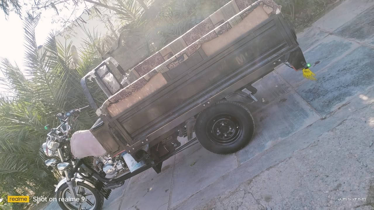 سلام عليكم صقر للبيع مديل 19جاهزه رقم مكاني الدوانيه قضاء الدغاره.شراي خابر ودلل ***********
