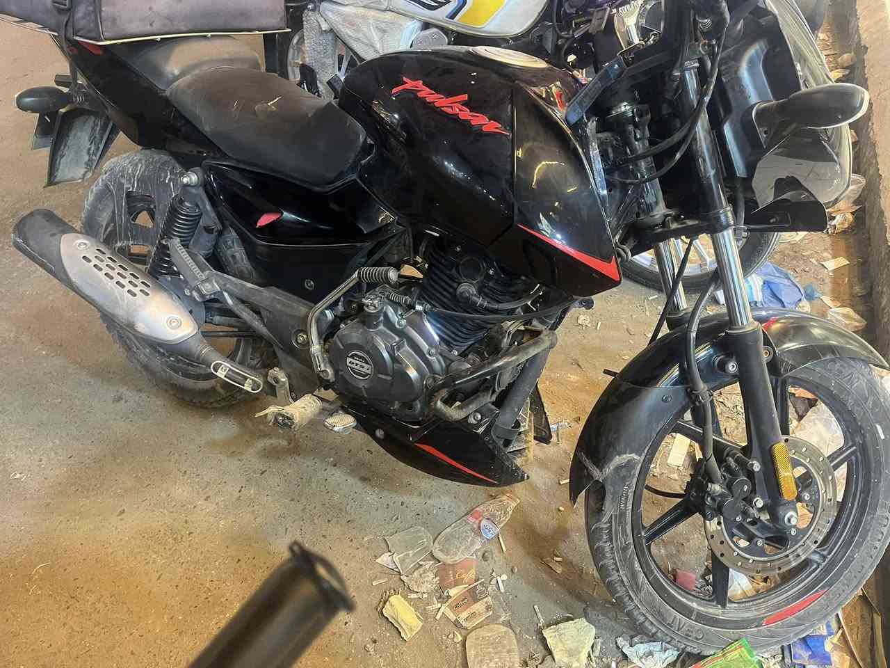 بولسر للبيع السعر ١٨٠٠مستعجل على بيعتها التواصل ***********ادمن وافق
