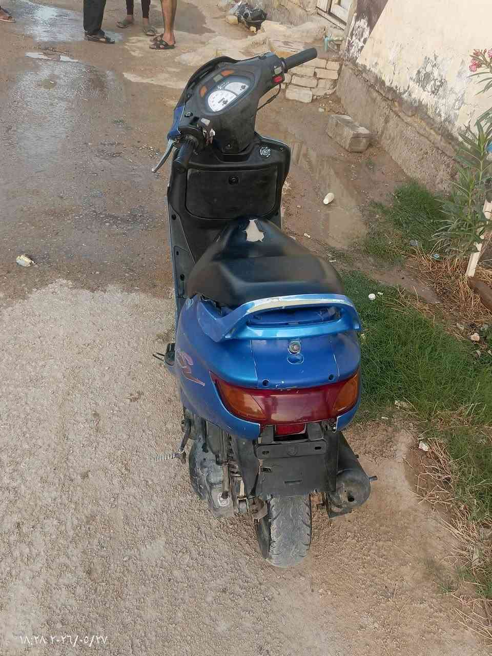 فراشة ازرق اللون للبيع للتواصل *********** واتساب
