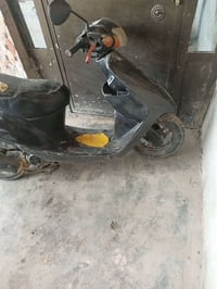 ساسوكي • شغاله • ابو غريب