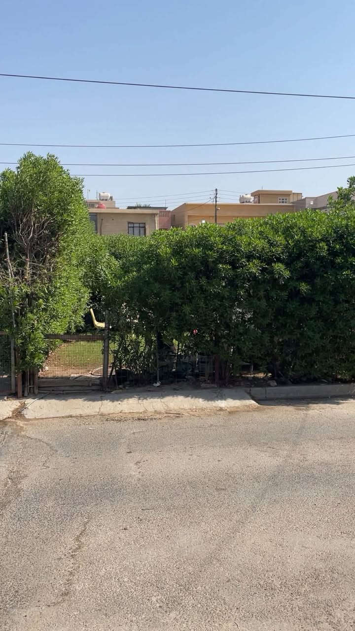 دار للبيع المساحه 75 (12.5×6) يحتوي الطابق الارضي استقبال، مطبخ، هول، وغرفه نوم، صحيات. الطابق الثاني يحتوي على غرفتين نوم، صحيات (امام المنزل حديقه)... العنوان (السيديه شارع الضغط) (للاستفسار ***********)
