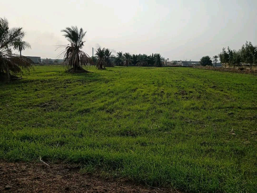 دونمين طابو زراعي سند 25
أرض مزروعه حنطه يم معمل الأسمنت الكوفه بشارع الكم سعر الدونم الواحد 35 وبي مجال للاستفسار الاتصال على الرقام
***********
***********
