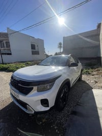 سيلتوس ٢٠٢٤ • ١١ الف كم • مكانه ديالى