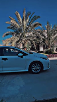 كورلا هايبرد 2025  الشكل الخليجي  ماشيه 18 الف  صار بيها حادث خفيف  ال...