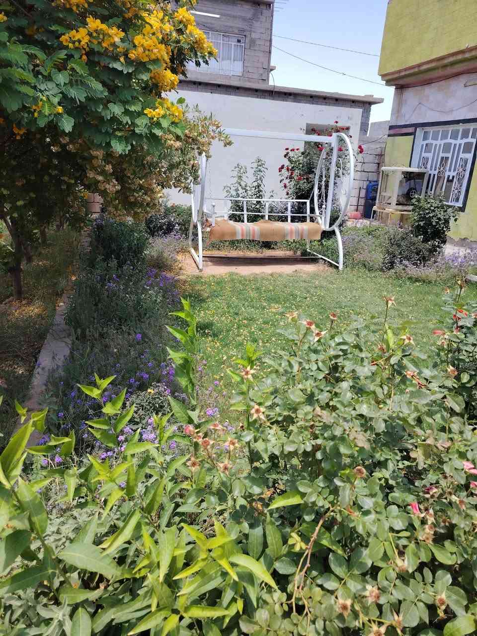 دار البيع زراعي حي المهدي من تدخل اول فرع ع يسرا مساحة الدار 740
كمل سيراميك جديد  غرفتين  صحيات داخليه و خرج 

  خاص ماعندي اتصل و ادلل ***********
