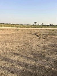 خلف جامعة بابل • حي السجاد • ٥٠٠م