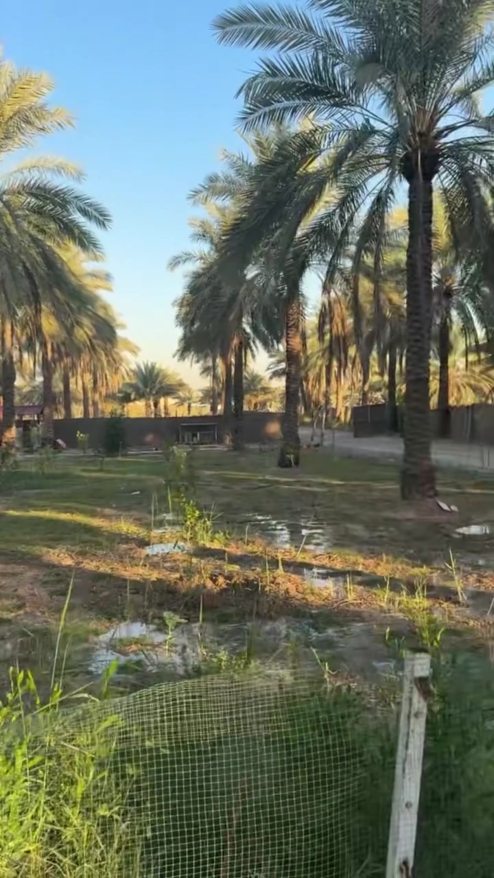 👍أعلان رقم(146)
🙏دونم زراعي مع دار سكني للبيع مثل مموضح بالتصوير🙏
💐وجه الأرض(٣٥م)والنزال(٧١م) جنس العقار سند (٢٥)

👍الخدمات المتوفره ماء أساله ماء سقي كهرباء طريقها مشمول بالتبليط مدارس مستوصف صحي
🛣️موقع الأرض  واسط الصويره  خلف مخازن أبوفياض تبعد عن جسر الصويره كيلوين ونصف تقريبا🛣️
🙏السعر تجدوه داخل التعليقات 🙏
للأستفسار ***********
#مازن_الزبيدي
