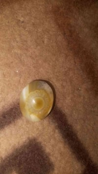 جزع يماني • قديم