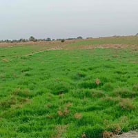 دغل • أرض واسعة • ناصريه قضاء الاصلاح