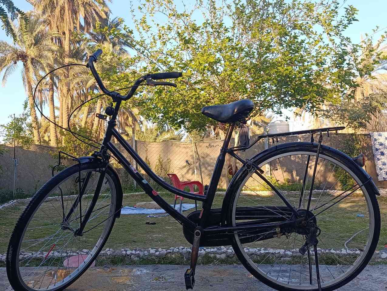 بايسكل حجم 26 جديد مال حاويه الله شاهد اشتريته قبل أيام وهسه اريد ابيعه اشتريته با95 بس هسه مستعجل عل بيعته بي مجال للشراي مكاني دبله وهذا رقمي ***********
