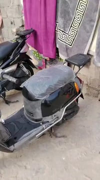 سكنس فحل • ياباني • كفاله عامه