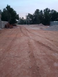 النجف ناحية الحرية • ارض زراعية • عرصة مدفونة