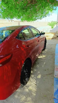 انتره • ٢٠١٧ • وارد امريكي