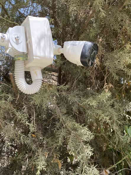 📸 تنصيب وتجهيز كاميرات مراقبة – شركة Dahua
نظام Analog – منطقة سيد ساجد

تم بحمد الله تنصيب وتجهيز منظومة كاميرات مراقبة من شركة دهوا – Dahua بنظام Analog في منطقة سيد ساجد، مع ضبط كامل للإعدادات وجودة واضحة للّيل والنهار.

✔️ تمديدات مرتبة ومحكمة
✔️ فحص وتفعيل التسجيل
✔️ ربط شاشة المراقبة وتنظيم الكابلات
✔️ تصوير ثابت وواضح

للاستفسار أو الحجز:
📞***********…
خدمتنا متوفرة في جميع مناطق بغداد
