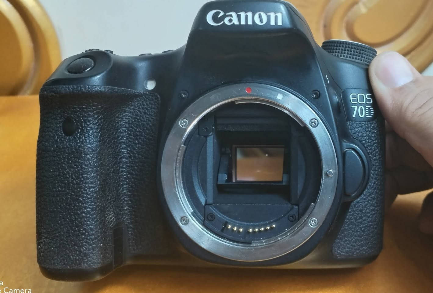 ✅السلام عليكم 📷🇮🇶
✅شباب كامره كانون 🇮🇶
✅70D 📷🇮🇶
✅شاشه قلاب 📷🇮🇶
✅لمس 📷🇮🇶
✅واي فاي 📷🇮🇶
✅ملحقات الكامره 📷🇮🇶
✅عدسه 18.55 📷🇮🇶
✅زوم رياضي 70.300 📷🇮🇶
✅كرب 📷🇮🇶
✅حزام كتف 📷🇮🇶
✅شاحنه الاصليه 📷🇮🇶
✅بطاريه عدد٢ الاصليه 📷🇮🇶
✅جنطة للكامره مقسمه📷🇮🇶
✅ستفسار اكثر تفضلو 🇮🇶
✅خاص اوتصل 📷🇮🇶
✅*********** 📷🇮🇶
