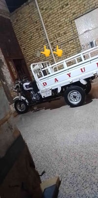 رايدن ستوته • نضيفه • يعلق